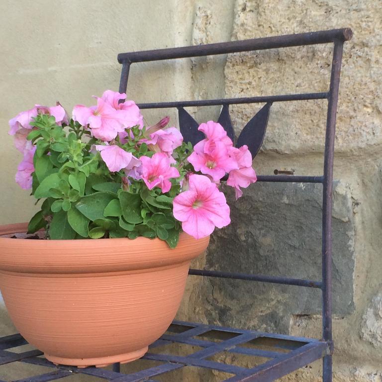 בית הארחה סן ג'ימיניאנו 	Casolare Di Remignoli מראה חיצוני תמונה